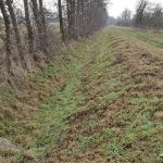 Weesower Luch im Winter