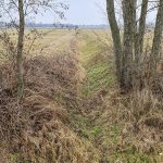 Weesower Luch im Winter