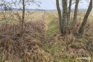 Weesower Luch im Winter