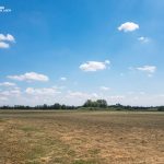 Wiesenmahd im Weesower Luch