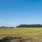 Heuernte im Weesower Luch