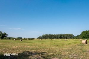 Heuernte im Weesower Luch