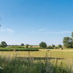 Heuernte im Weesower Luch