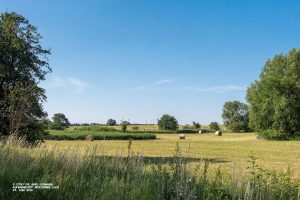 Heuernte im Weesower Luch