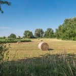 Heuernte im Weesower Luch