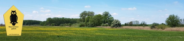 Lurche Weesower Luch